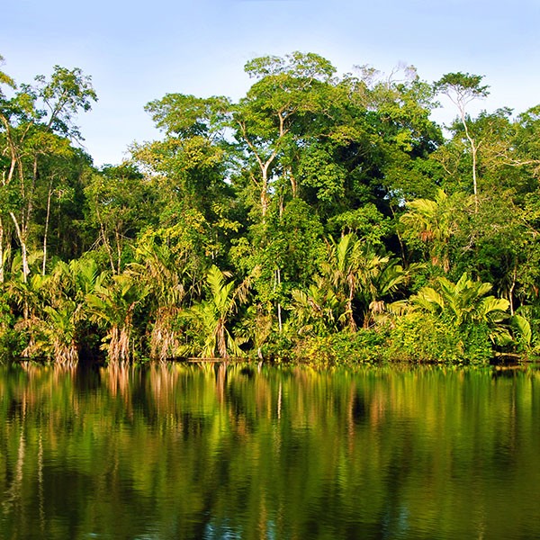 Parque Nacional Tortuguero, Costa Rica