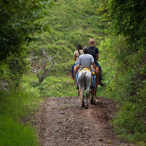 Ruta a caballo por el bosque de Turrialba