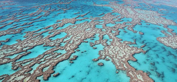 Gran Barrera de Coral, Queensland, Australia
