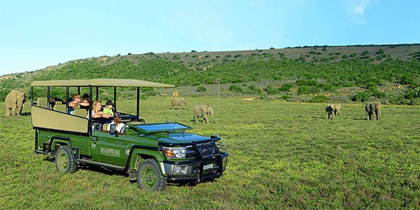 Safari con niños en Sudáfrica