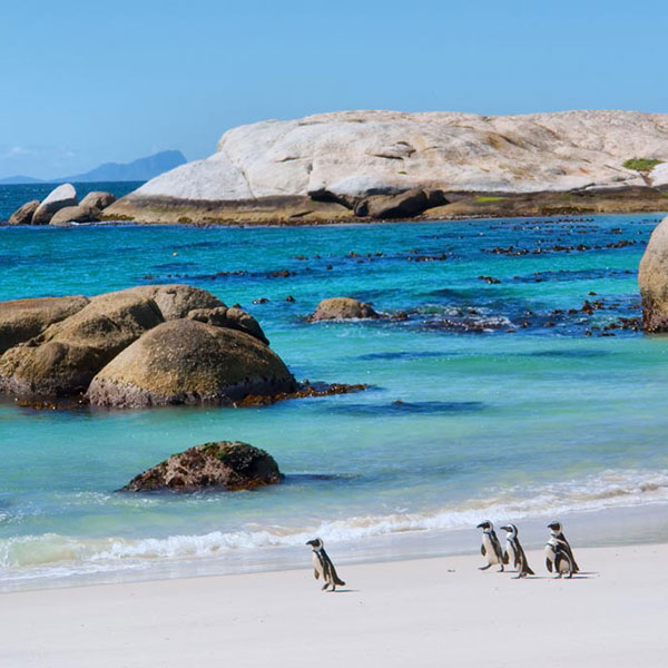 Cabo de Buena Esperanza en Sudáfrica