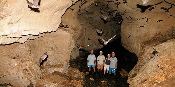 Cavernas de Venado