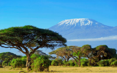 Viajar a Tanzania: Safaris, Cultura y Naturaleza en su máxima expresión