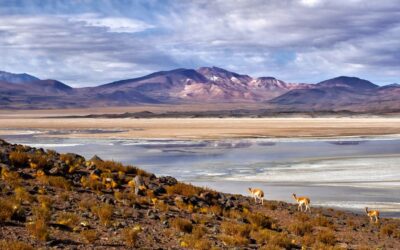Descubre los tres destinos más exclusivos de Kinsai