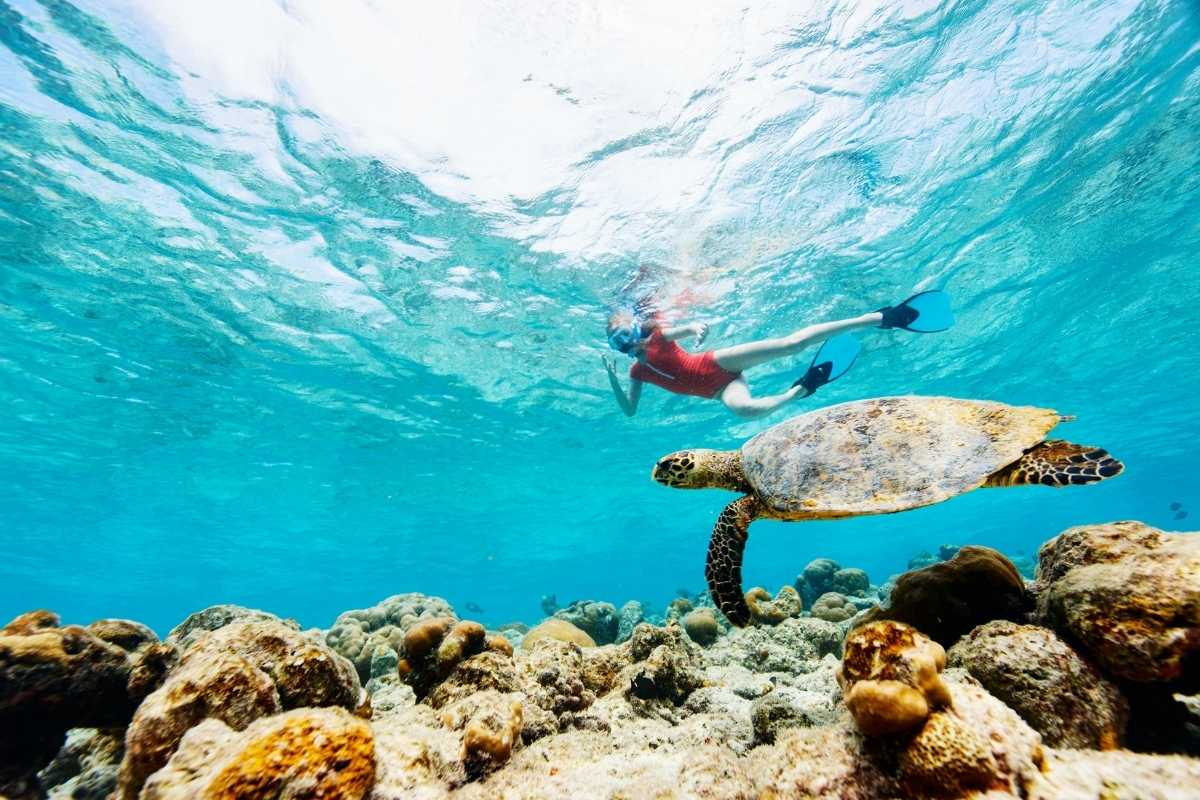 snorkel en Maldivas