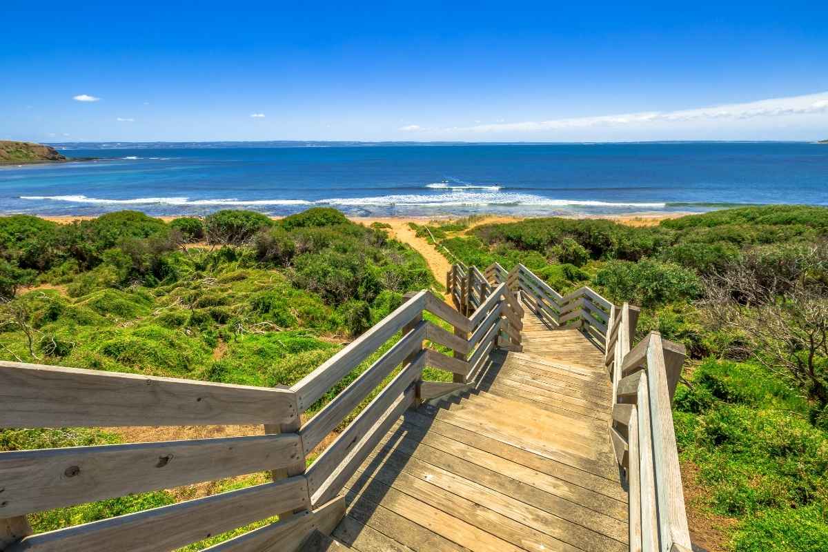 phillip island