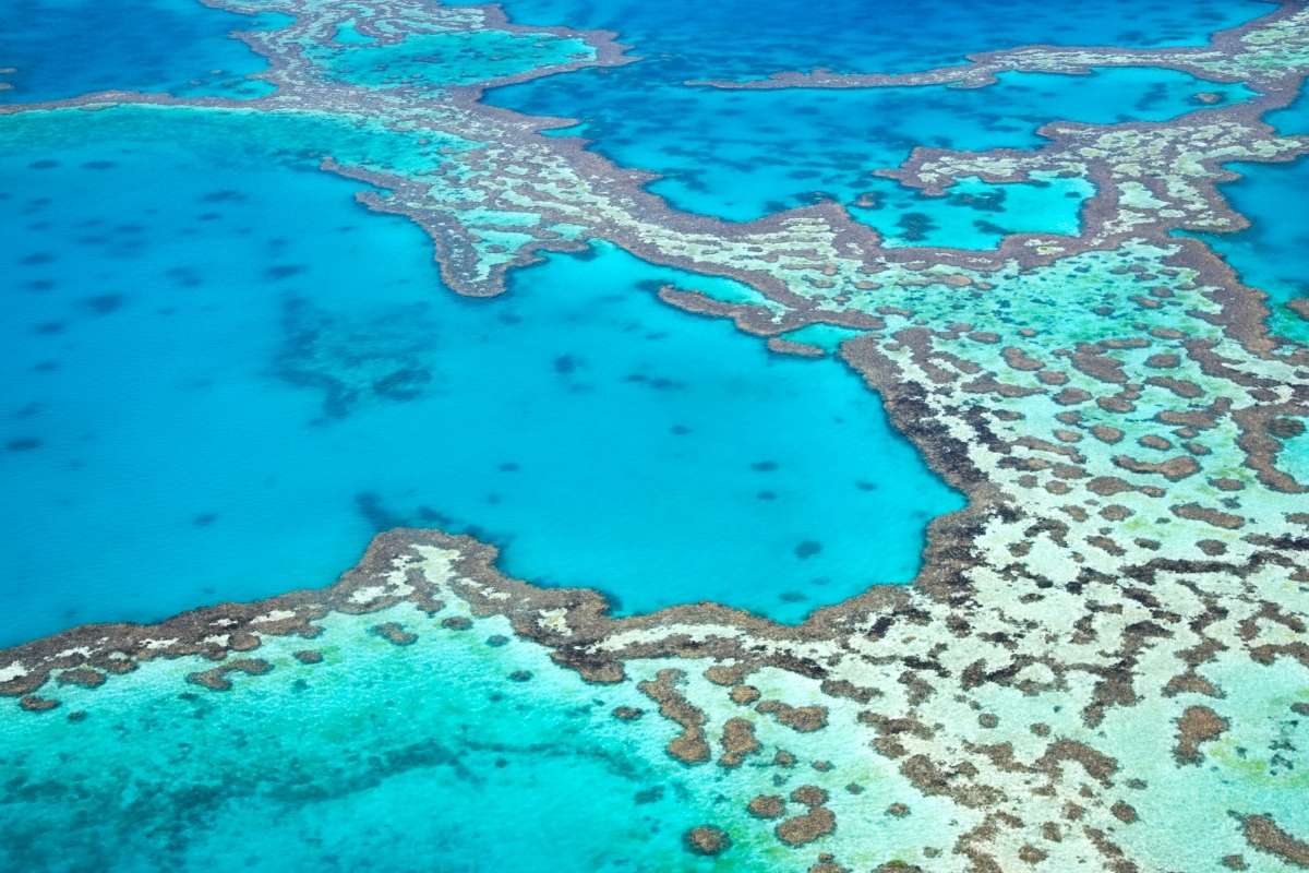 gran barrera de coral australia