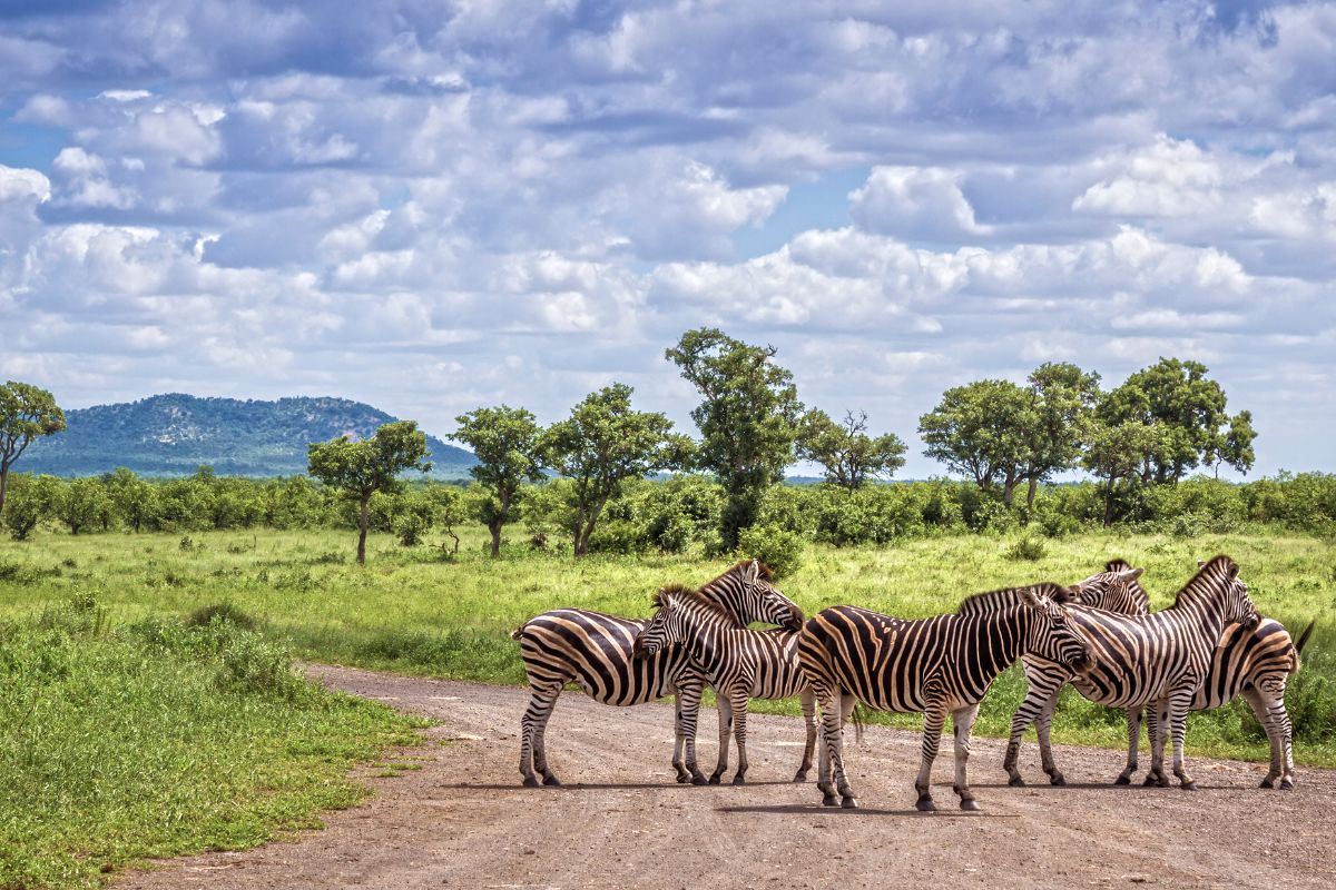 Parque Nacional Kruger