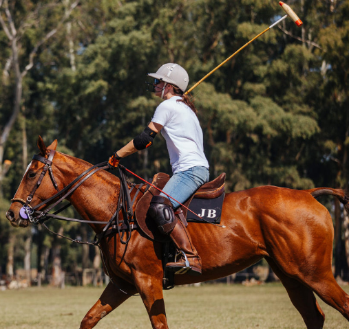 la bandada3 Estancia en La Pampa Puesto Viejo