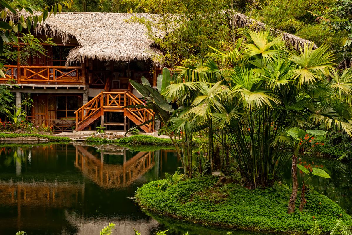 lodges ecologicos amazonas lodges ecologicos amazonas