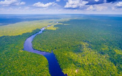 Amazonía Peruana: un viaje soñado a la Selva Tropical