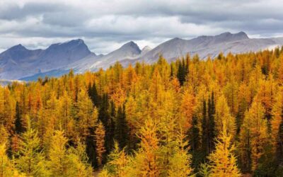 Otoño en Canadá: paisajes y lugares que no puedes perderte