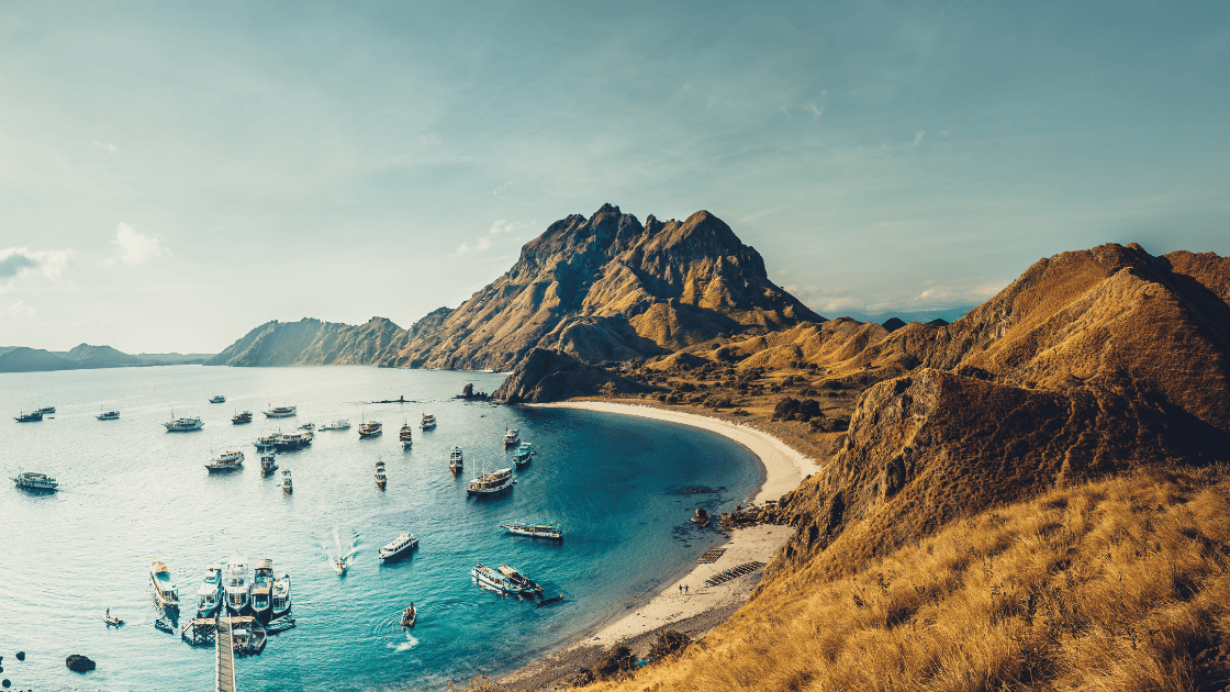 Komodo