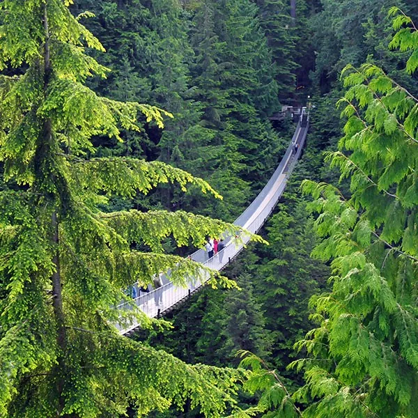 La aventura de cruzar el Capilano Suspension Bridge en Vancouver, Canadá