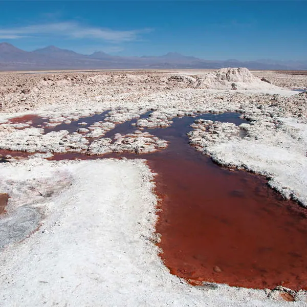 15 días en el Salar de Atacama en Chile