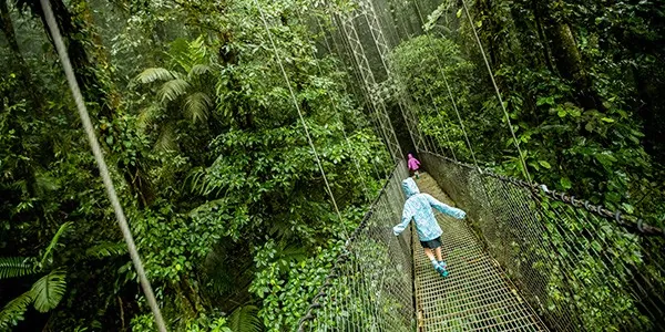 Recorrido por los puentes colgantes sobre el bosque de Arenal, Costa Rica