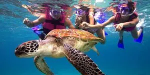 Mexico-Xcaret-snorkel Resort en Playa del Carmen para viajar en familia