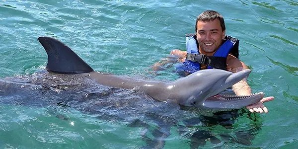Nadar con delfines en Los Cabos