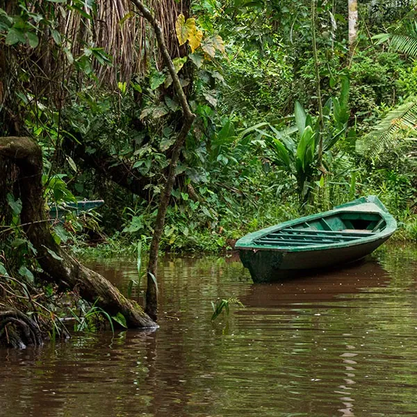 Amazonas peruano, Lago Sandoval en la Reserva Nacional de Tambopata en Perú