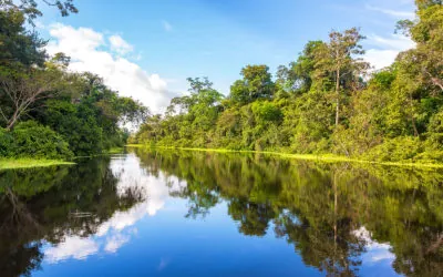 Crucero por el Amazonas: Perú de lujo