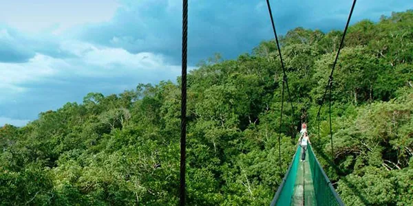 Puentes colgantes de Ixpanpajul, actividad opcional en Guatemala al completo
