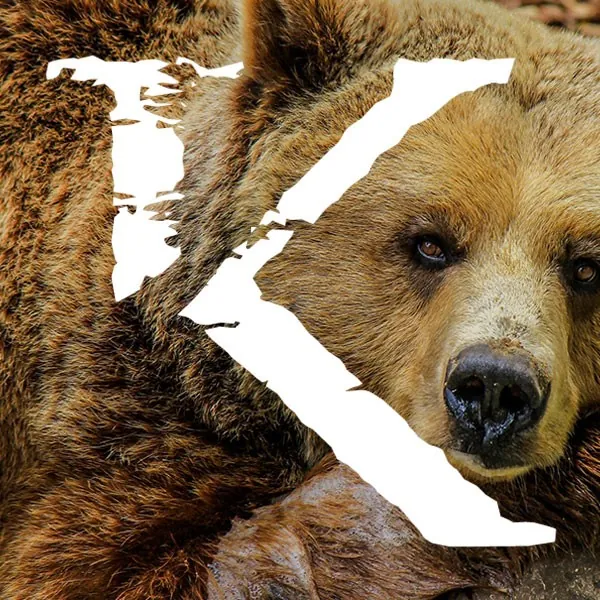 Viajes para ver osos en Canadá, KINSAI