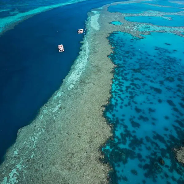 Gran Barrera de coral en Australia