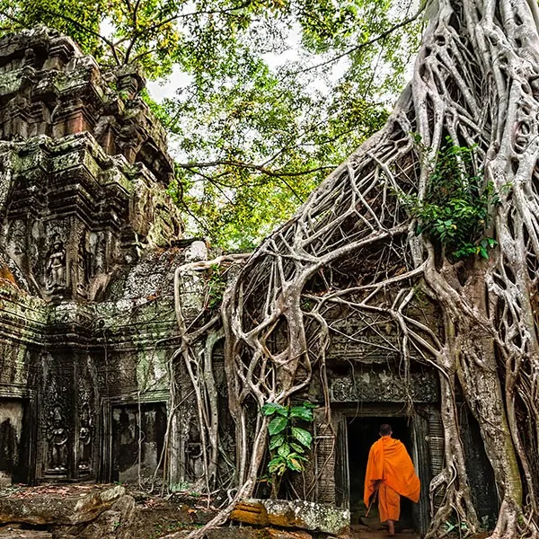 Templo de Ta Prohm, visita obligada en el viaje de novios a Camboya