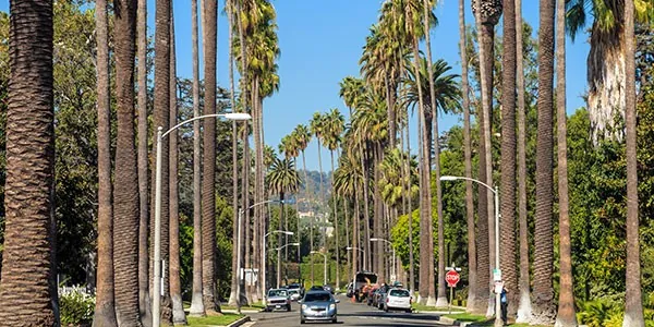 Beberly Hills, Los Ángeles