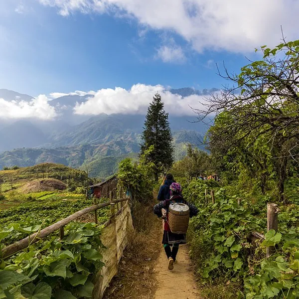 Trekking por el valle Muong Hoa en Sapa