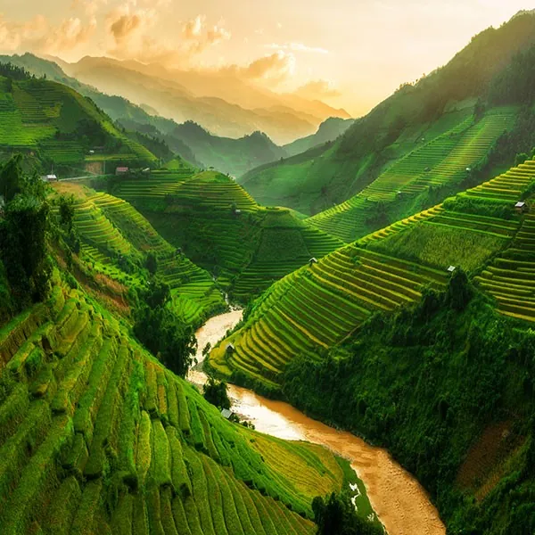 Terrazas de arroz Sapa, Vietnam