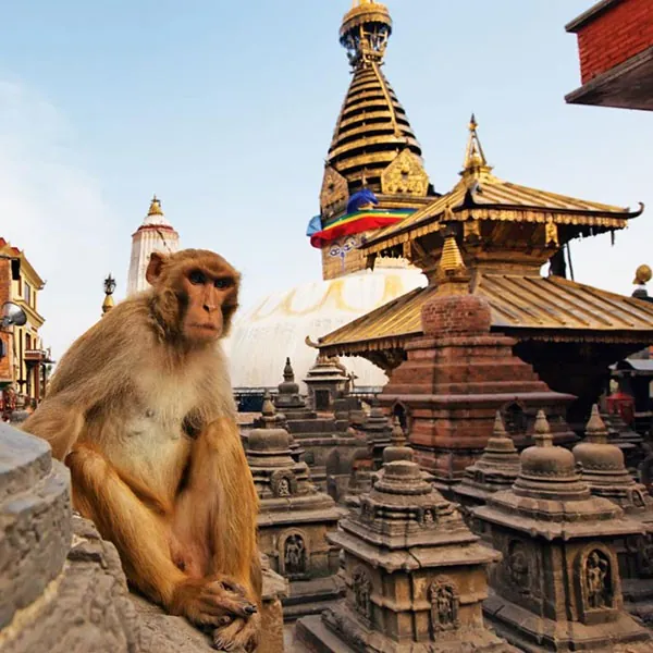 Katmandú en el viaje combinado India y Nepal