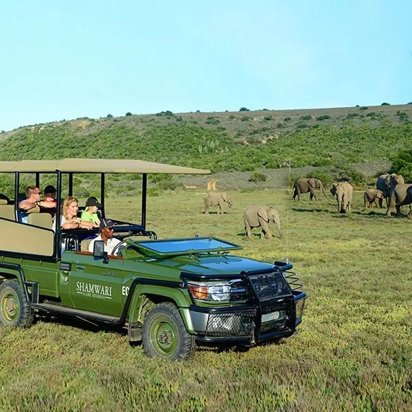 Safari con niños en Riverdene Lodge de Familia