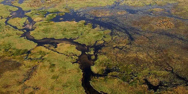 Sobrevuelo en avioneta del delta del Okavango