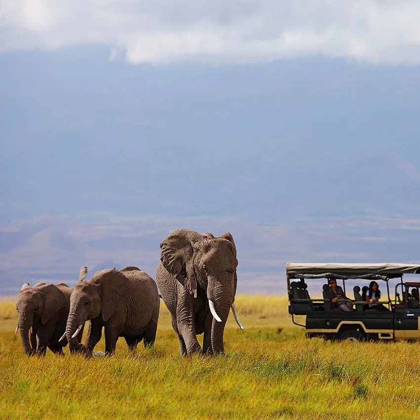 Safari en Amboseli Elewana Tortilis Camp