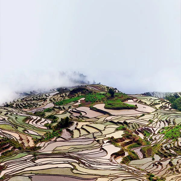 Terrazas de arroz en Yunnan, China