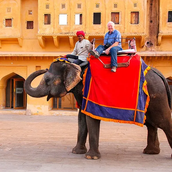 Elefante en el Fuerte Amber, Jaipur