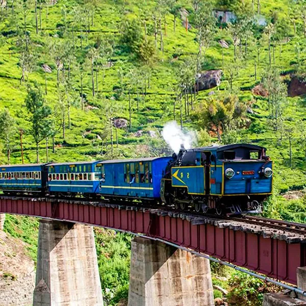 Viaje en el Nilgiri mountain railway por las estaciones de montaña