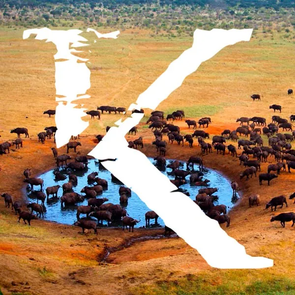Viajes y safaris a Tanzania KINSAI
