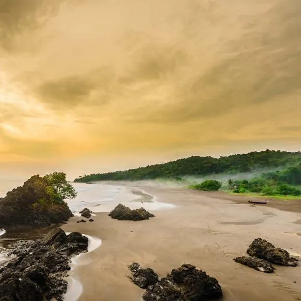 COLOMBIA-BAHIA-SOLANO-ALMEJAL- COLOMBIA-BAHIA-SOLANO-ALMEJAL