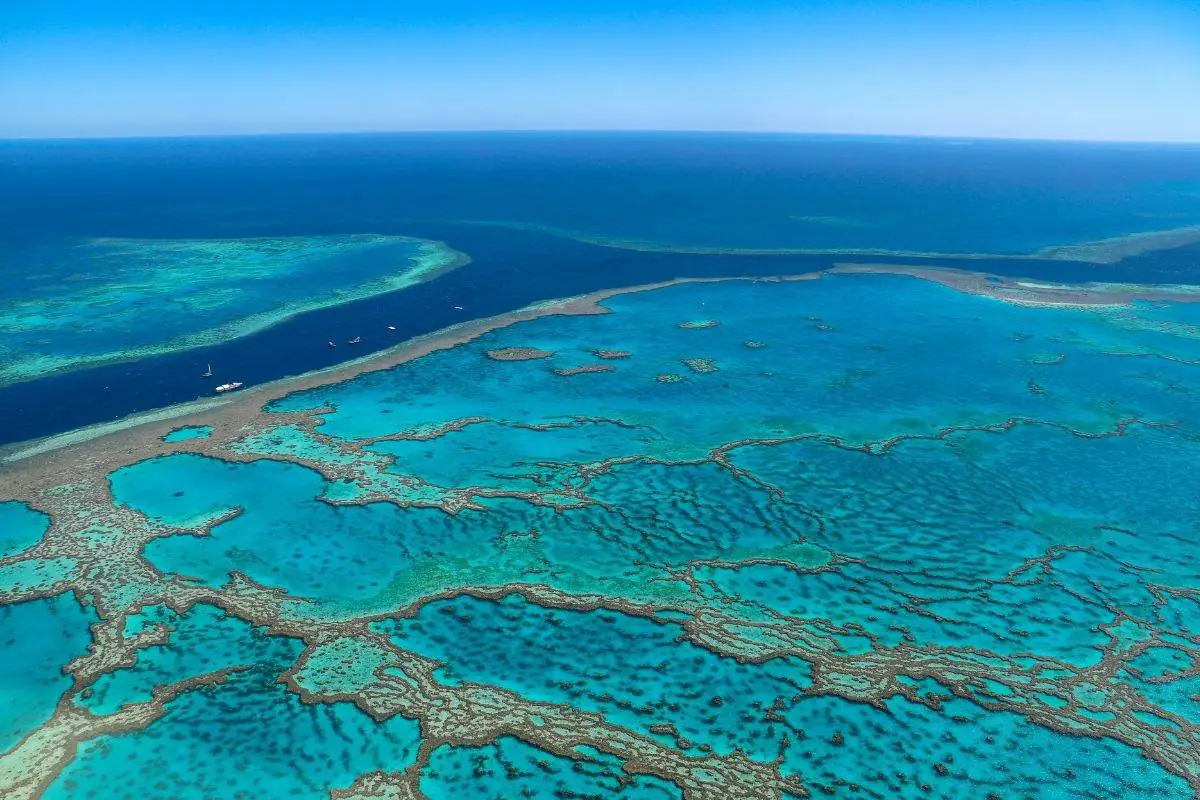 gran barrera de coral