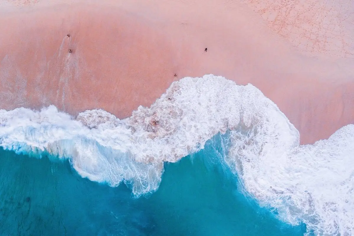 pink beach komodo pink beach komodo