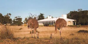 ESTANCIA RINCON CHICO PUERTO MADRYN Estancia de lujo en Argentina El Pedral