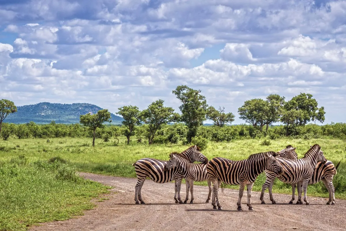 Parque Nacional Kruger
