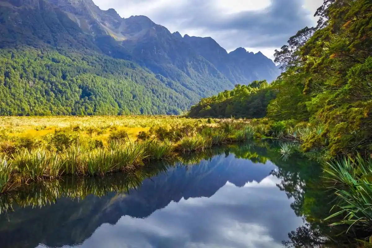 Parque Nacional Fiordland viaje a nueva zelanda en noviembre
